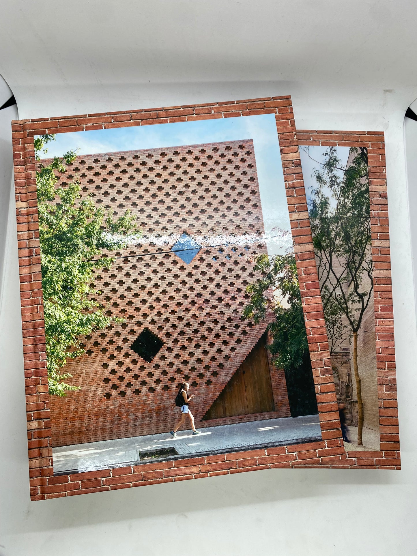 Libro Brick Buildings